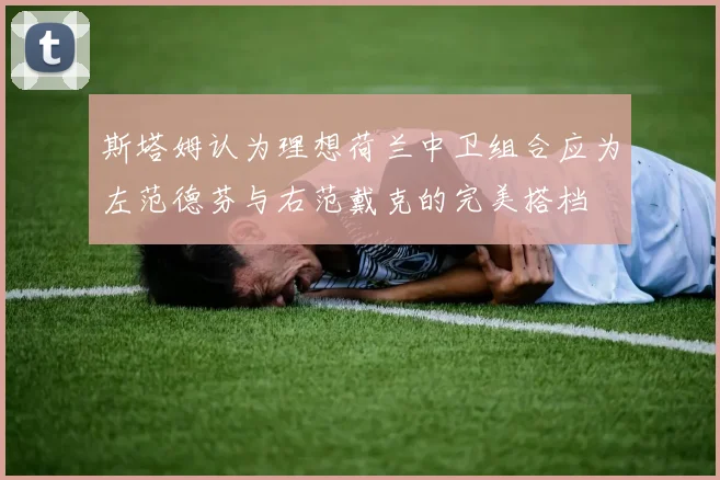 斯塔姆认为理想荷兰中卫组合应为左范德芬与右范戴克的完美搭档