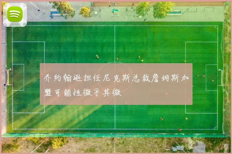 乔约翰逊担任尼克斯总裁詹姆斯加盟可能性微乎其微